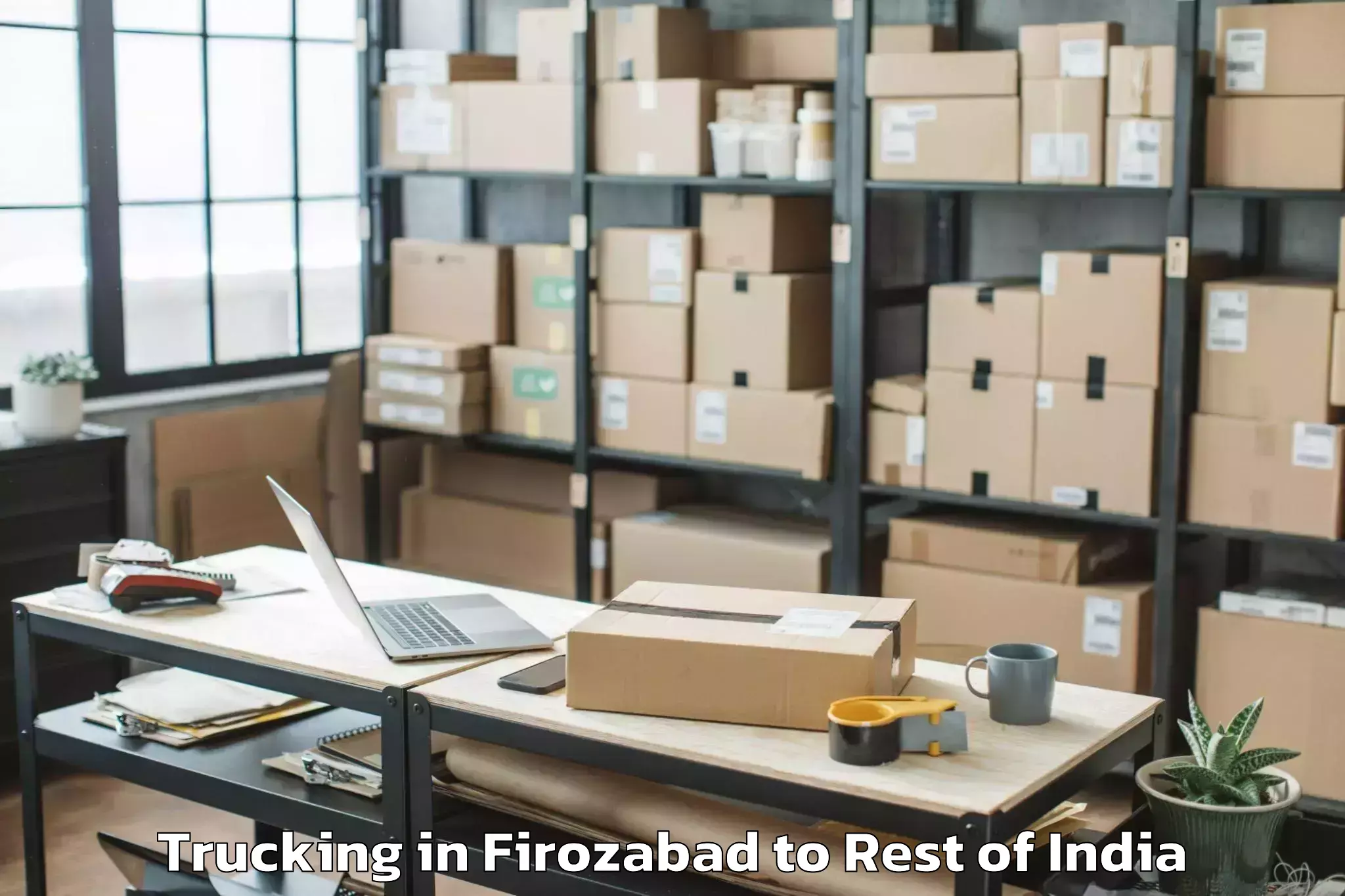 Book Firozabad to Rehta Trucking Online